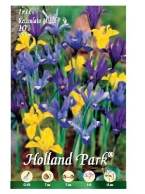 BULBI DA FIORE DI IRIS IN CONFEZIONE DA 10 BULBI (reticulata mix)-0