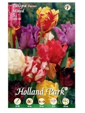 BULBI DA FIORE DI TULIPANO IN CONFEZIONE DA 5 BULBI (pappagallo mix)-0