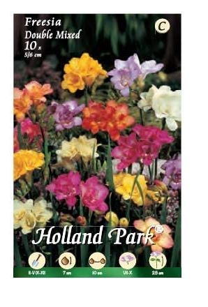 BULBI DA FIORE DI FRESIE IN CONFEZIONE DA 10 BULBI (doppia mix)-0