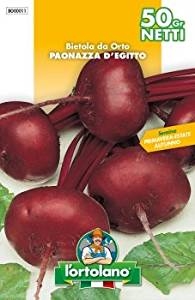 SEMENTI DI ORTAGGI DI QUALITA' IN BUSTE TERMOSALDATE DA 50 GRAMMI (BIETOLA DA ORTO PAONAZZA D’EGITTO) -0