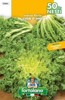 SEMENTI DI ORTAGGI DI QUALITA' IN BUSTE TERMOSALDATE DA 50 GRAMMI (INDIVIA RICCIA CUOR D’ORO) -0