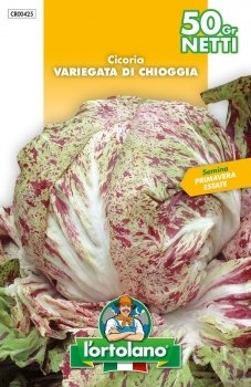 SEMENTI DI ORTAGGI DI QUALITA' IN BUSTE TERMOSALDATE DA 50 GRAMMI (CICORIA VARIEGATA DI CHIOGGIA) -0