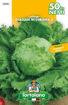 SEMENTI DI ORTAGGI DI QUALITA' IN BUSTE TERMOSALDATE DA 50 GRAMMI (LATTUGA GLACIALE DI LUBIANA 3) -0