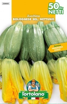SEMENTI DI ORTAGGI DI QUALITA' IN BUSTE TERMOSALDATE DA 50 GRAMMI (ZUCCHINO BOLOGNESE) -0