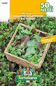 SEMENTI DI ORTAGGI DI QUALITA' IN BUSTE TERMOSALDATE DA 50 GRAMMI (MISTICANZA MELANGE DI LATTUGHE DA TAGLIO)-0