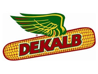 13dekalb