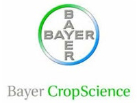 4bayer
